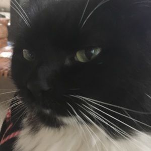 Meet your Posher, Jada